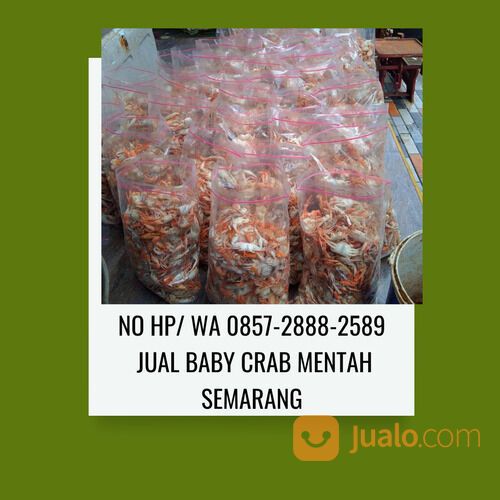 NO HP/ WA 0857-2888-2589 Distributor Baby Crab Mentah Terdekat Semarang (FROZEN)