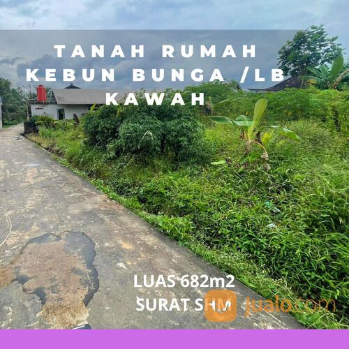 Tanah rumah kebun bunga