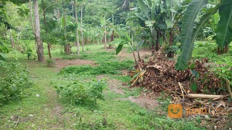 Tanah di jalan wisata alam kerandangan Senggigi