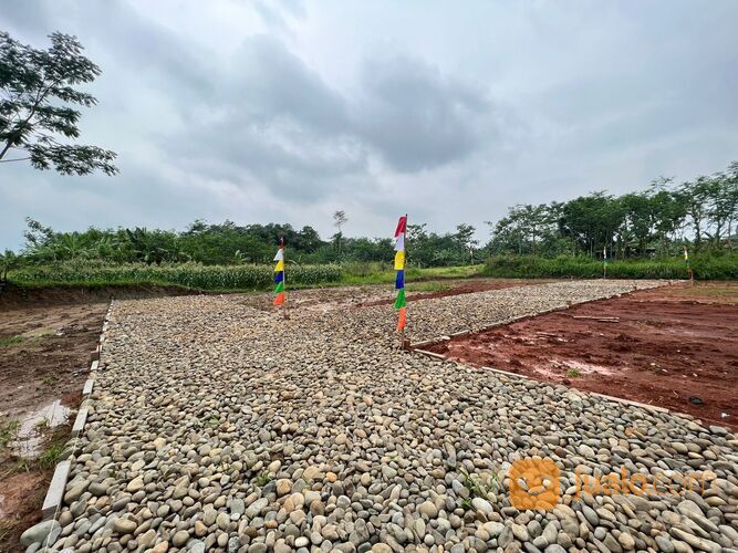 Tanah Strategis Kwayangan Kedungwuni Pekalongan, SHM Pekarangan