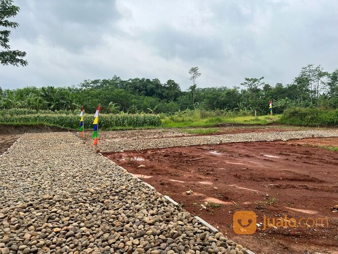 Tanah Strategis Kwayangan Kedungwuni Pekalongan, SHM Pekarangan