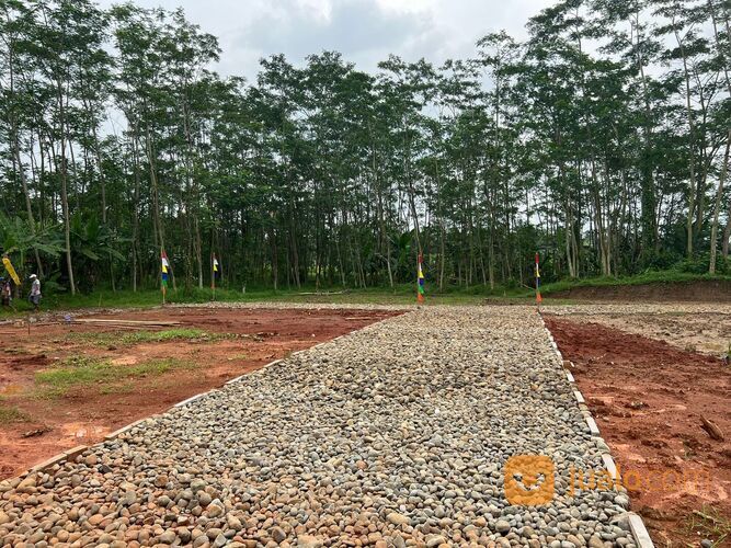 Tanah Strategis Kwayangan Kedungwuni Pekalongan, SHM Pekarangan