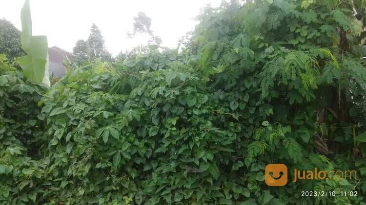 Dekat Stasiun Jurang Mangu, Kavling Perumahan Terima SHM