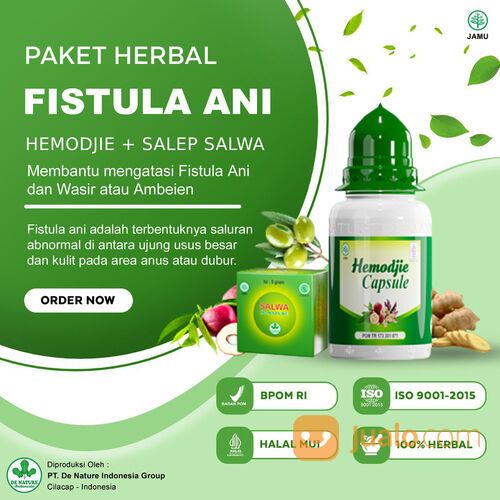 Obat Herbal Fisura Anus Anal Fissure Diare Kronis Mengatasi Fisura Anus Tanpa Perlu Operasi