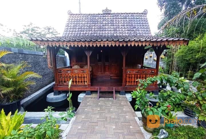 RUMAH VILLA JOGLO dan HOMESTAY TURI SLEMAN