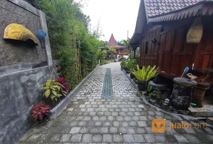 RUMAH VILLA JOGLO dan HOMESTAY TURI SLEMAN