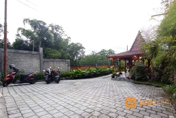 RUMAH VILLA JOGLO dan HOMESTAY TURI SLEMAN