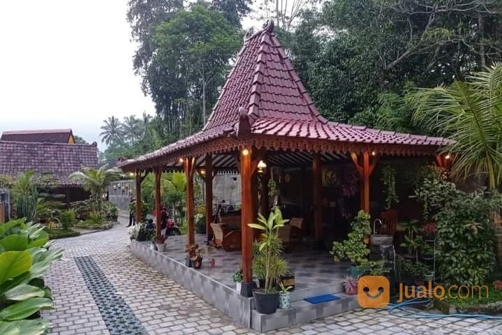 RUMAH VILLA JOGLO dan HOMESTAY TURI SLEMAN