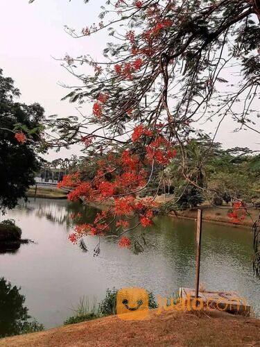 Taman Telaga Golf BSD City Rumah Dekat Danau ASri Dan Nyaman