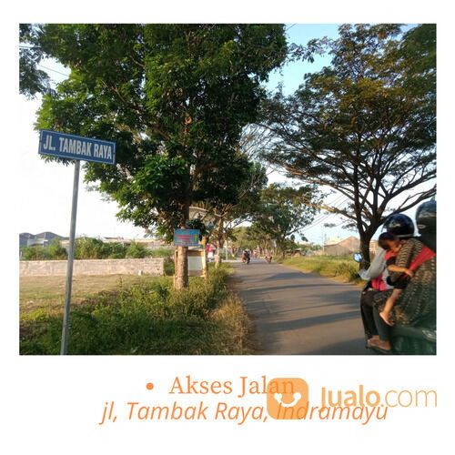 Kavling Tambak Indramayu, Dekat Kampus AKPER AKSARI, 1 Jt/m