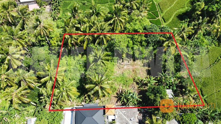 Sewa tanah view sawah sungai ubud