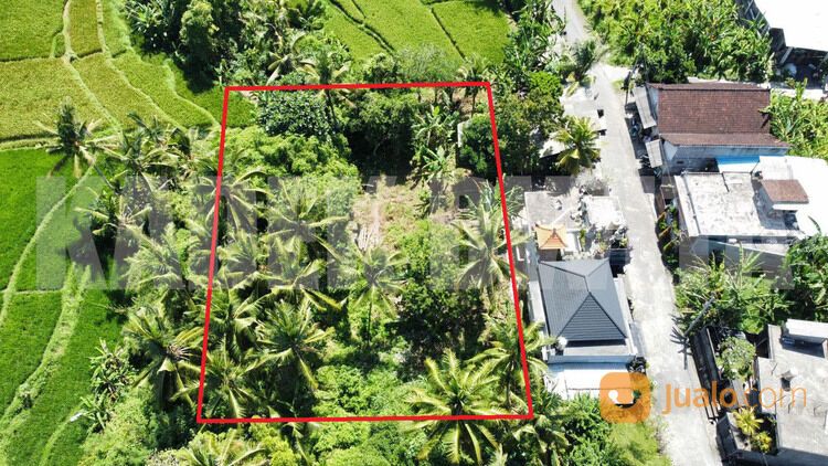 Sewa tanah view sawah sungai ubud