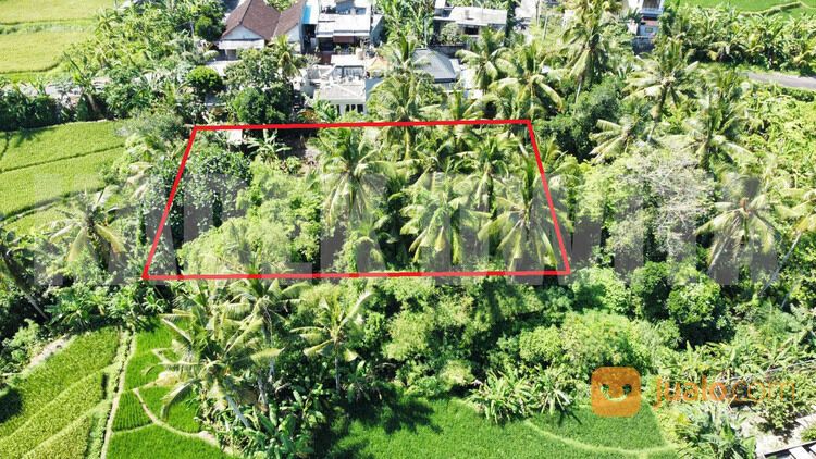 Sewa tanah view sawah sungai ubud