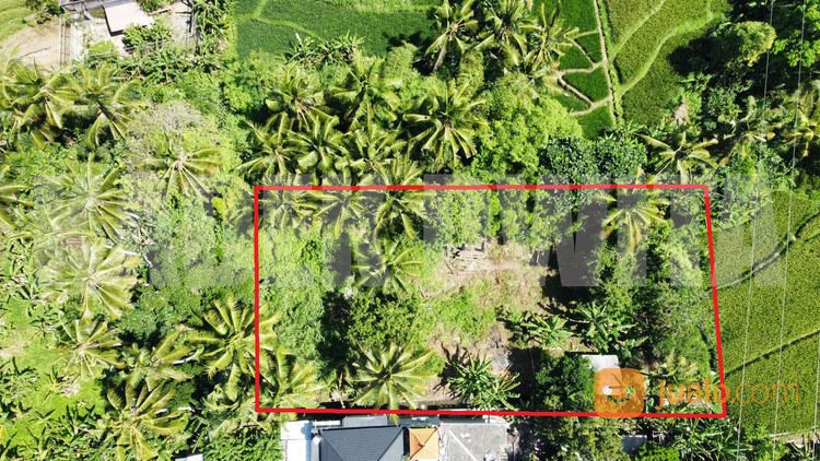 Sewa tanah view sawah sungai ubud