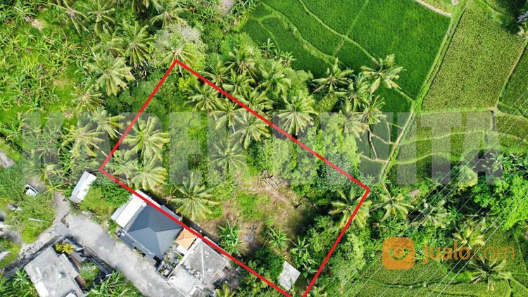 Sewa tanah view sawah sungai ubud