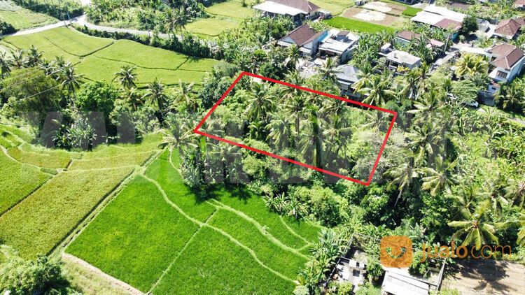 Sewa tanah view sawah sungai ubud