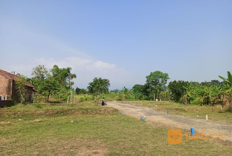 Tanah Kavling Villa: Suasana Asri di Dekat Pandaan, SHM Gratis