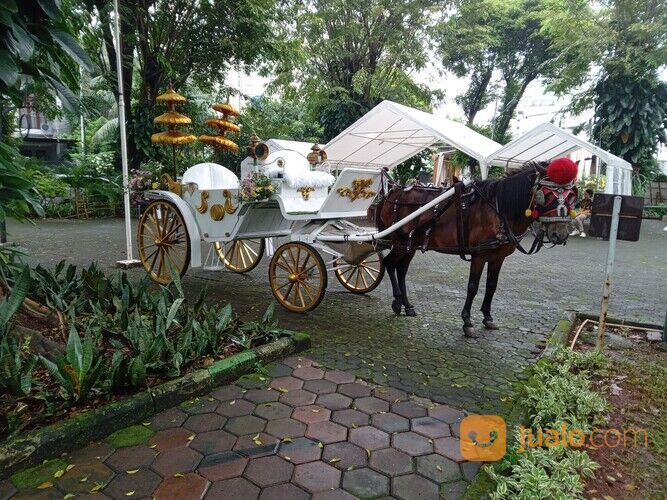 Sewa kuda kereta kencana