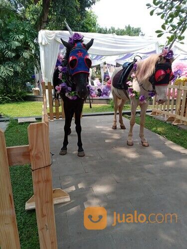 Sewa kuda kereta kencana