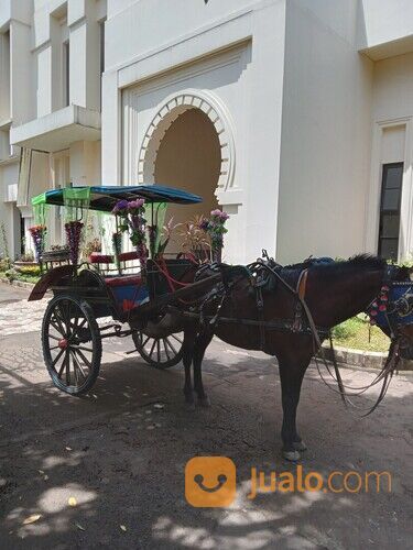 Sewa kuda kereta kencana