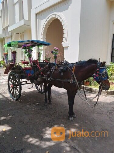 Sewa kuda kereta kencana