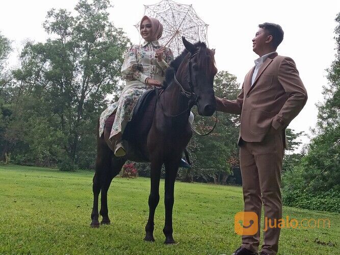 Sewa kuda kereta kencana