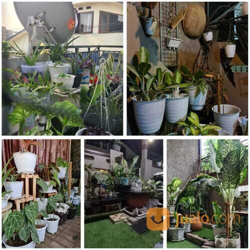 RUMAH NYAMAN JL SEKELIMUS SOEKARNO HATTA BUAHBATU BATUNUNGGAL BANDUNG