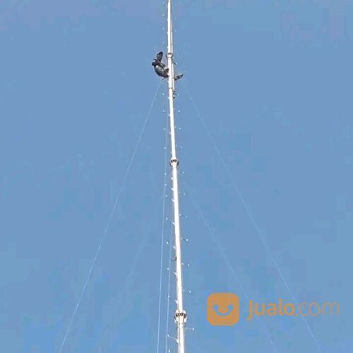 Lighting Protection Elektrostatis Anti Petir Tangerang