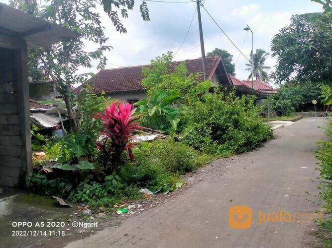 Tanah Wedomartani Utara Perumahan Wana Praja