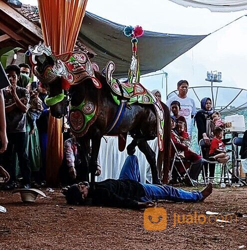 Kuda Renggong Kendali Manik