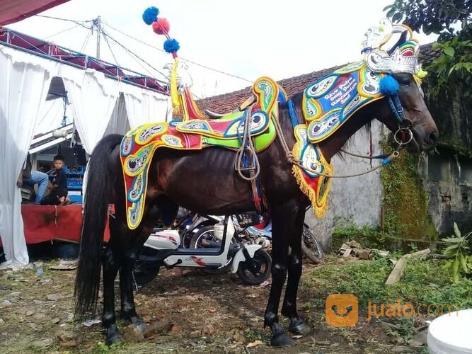 Kuda Renggong Kendali Manik