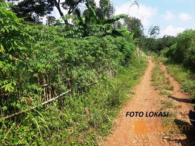 Hanya 750 rb/m2 Tanah SHM Desa Cikawao Pacet Bandung