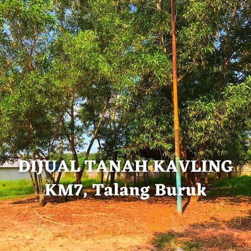 Tanah Palembang Luas 287 Meter Lokasi Talang Borok