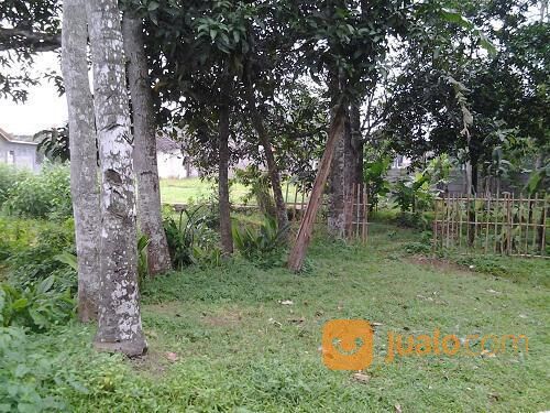 Tanah Kebun Kosong Cileungsi