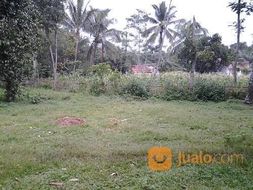 Tanah Kebun Kosong Cileungsi