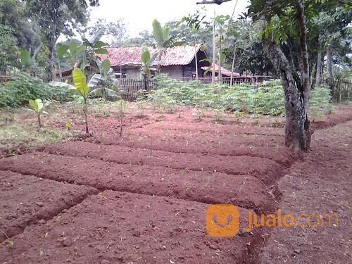 Tanah Kebun Kosong Cileungsi