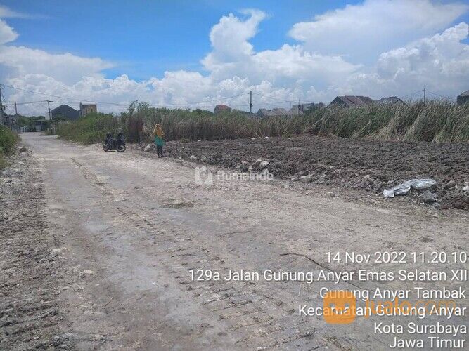 Tanah Siap Bangun Gunung Anyar Tambak SBY Timur