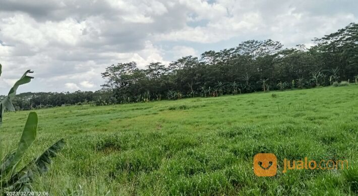 Tanah 2 hektar Cimuning kota Bekasi