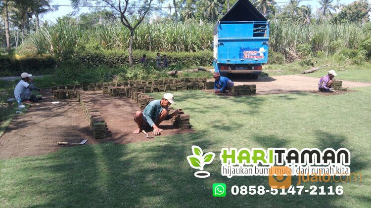 Harga Terbaru Rumput Golf Kebumen Siap Kirim