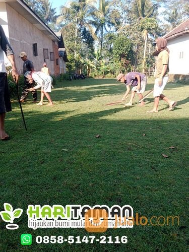 Harga Terbaru Rumput Golf Kebumen Siap Kirim