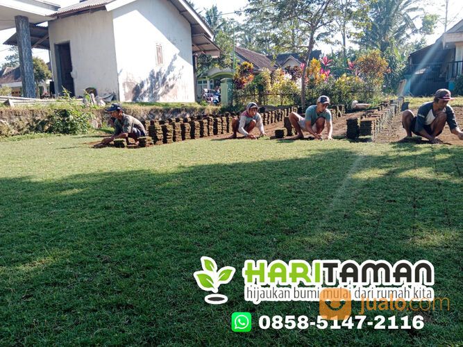 Harga Terbaru Rumput Golf Kebumen Siap Kirim