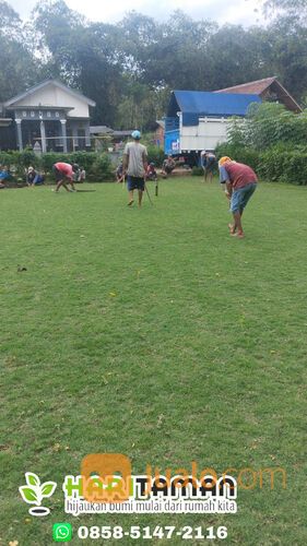 Harga Terbaru Rumput Golf Kebumen Siap Kirim
