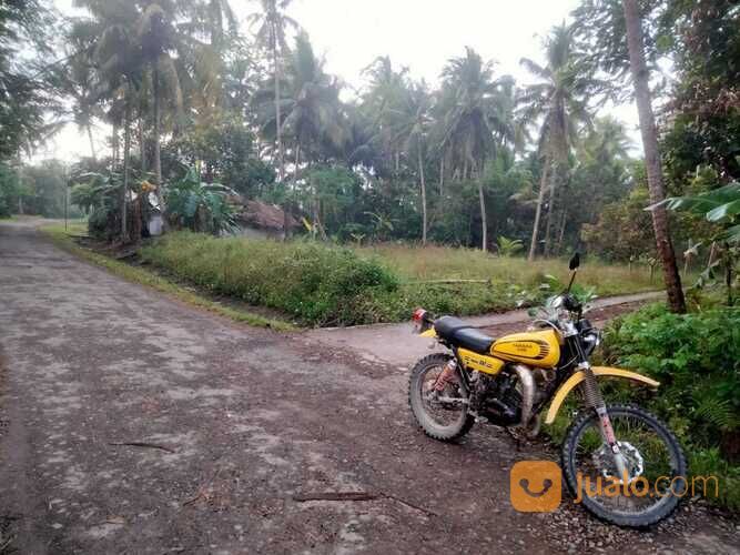 2 Tanah Perkebunan di Pangandaran dkt Pantai Batu Karas