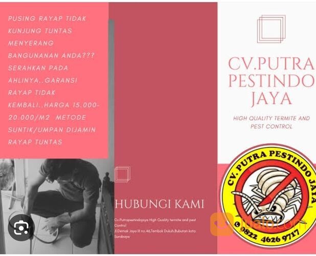 Jasa Anti Rayap Yogyakarta