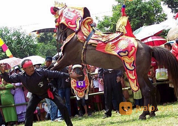 Kuda Renggong Mandala Putra