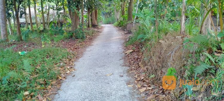 Tanah Kavling Boyolali; Cocok Untuk Bangun Kost, Belakang Terminal Penggung