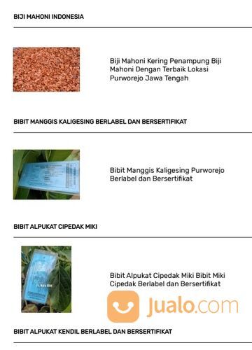 Bibit tanaman hortikultura, rempah, herbal dan kayu kehutanan. Kualitas unggul dan harga murah_04