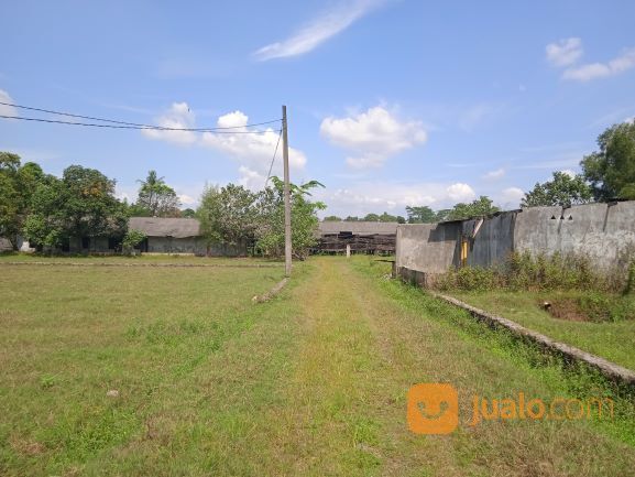 Lahan Murah, Tanah bekas Peternakan Ayam di Setu Bekasi