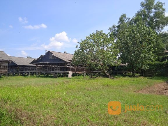 Lahan Murah, Tanah bekas Peternakan Ayam di Setu Bekasi