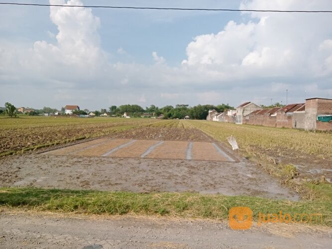 Tanah Kavling Murah Hanya 1 Menit Dengan Elok Waterpark Sragen